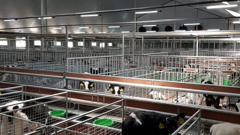 抖音小店入驻，保证金多少？揭秘入驻费用与策略
